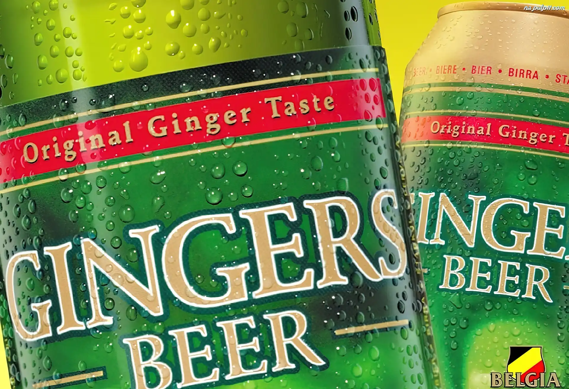 Gingers Beer, Piwo Na Pulpit